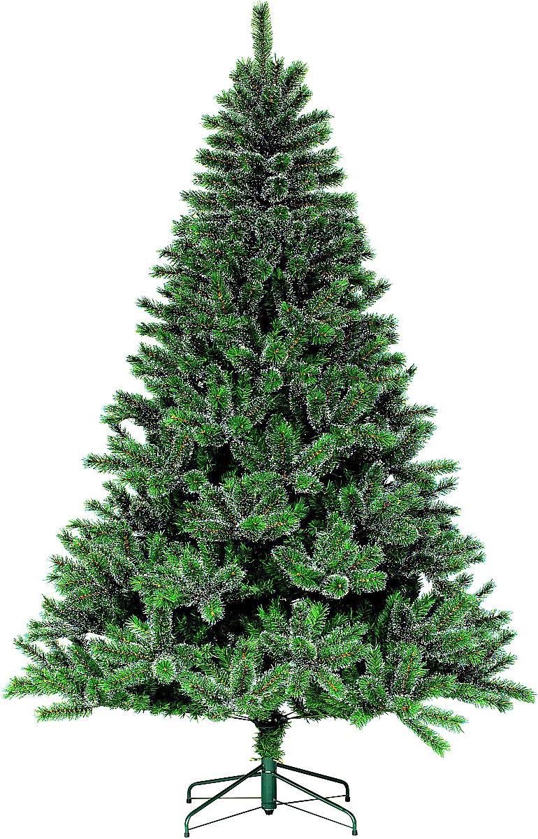 Елка GLACIER PINE GLACIER PINE 195